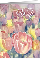 Happy Birthday Wife Pink Tulip Flowers Watercolor card