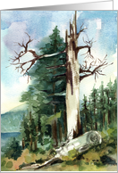 Happy Birthday Adventures Hiking Lake Trees Watercolor card
