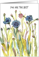 Thank You Are The Best Blue Bachelor Buttons Flowers card