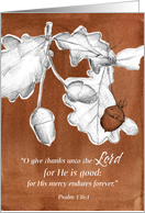 Happy Thanksgiving Psalm 136 Scripture Acorns Oak card
