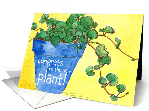 New Plant Congratulations Blue Clay Pot Sunlight card (1943470)