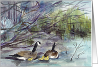 Happy Birthday Geese Family Desert Lake card