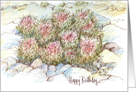 Happy Birthday Desert Cactus Landscape card