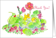 Thank You Pink Nasturtium Orange Flower Watercolor Garden card