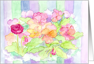 Pastel Pink Pansies Flowers Stripes Blank card