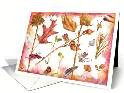 Autumn Season Nature Botanical Art Watercolor card (195495)
