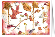 Autumn Season Nature Botanical Art Watercolor card