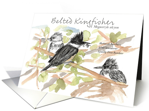 Happy Birthday Birder Kingfisher Bird Study Drawing card (1969232)