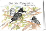 Happy Birthday Birder Kingfisher Bird Study Drawing