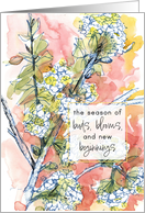 Happy Spring Flowering Tree New Beginnings Blessings