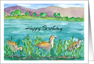 Happy Birthday Lake Shore Birds Watercolor Illustration card