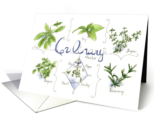 Cooking Party For Foodies Invitation Herbs Spices card (225371)