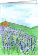 House On A Hill Honey Bees Lavender Blank card