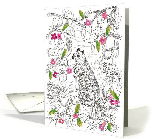 Squirrel Animal Pine Cones Blank card (344406)