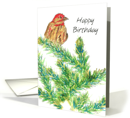 Happy Birthday Business Client Finch Bird Pine Tree card (357002)