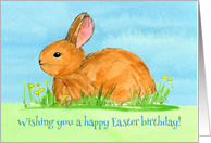 Happy Easter Birthday Rabbit Yellow Flowers Watercolor card