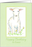 Happy Birthday on Easter Spring Lamb card