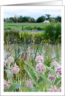 Pink Wildflowers Farmland Country House Photograph card