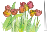 Red Tulip Flowers Watercolor Painting card