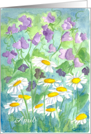 Happy April Birthday Sweet Peas Daisy Flowers card