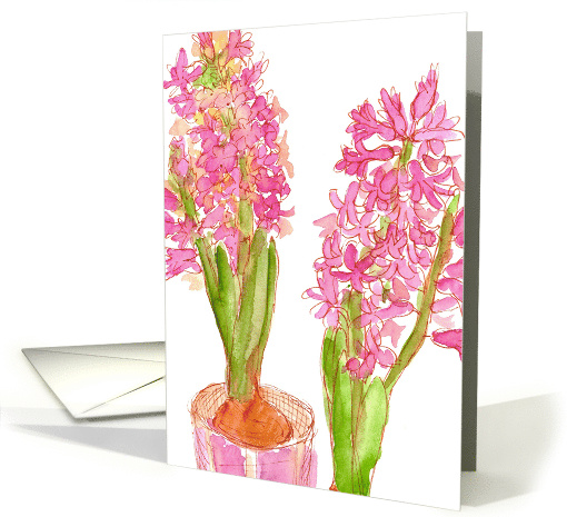 Pink Hyacinths Flower Bulbs Blank Watercolor card (599144)