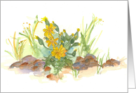 Desert Yellow Watercolor Wildflowers Blank card