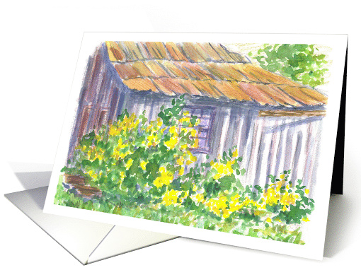 Rustic White Cabin Yellow Wild Roses Blank card (604194)