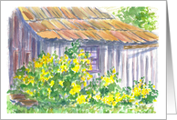Rustic White Cabin Yellow Wild Roses Blank card
