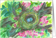 Birds Nest Blue Robin’s Eggs Cherry Blossom card