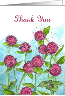 Thank You Pink Globe Amaranth Plant Drawing card
