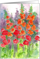 Orange Gladiolus Red Poppy Flowers Blank card
