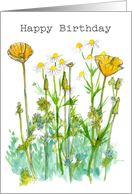 Happy Birthday California Poppy Chamomile card