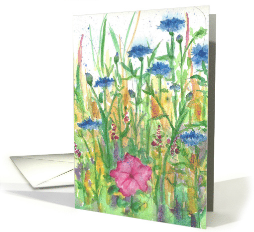 Blue Bachelor Buttons Meadow Flowers Blank card (679302)