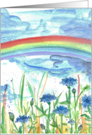 Rainbow Bachelor Button Meadow Flowers Blank card