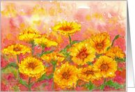 Marigold Calendula Flowers Orange Blank card