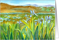 Wild Iris Flowers Mountain Landscape Blank card