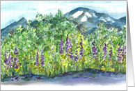 Purple Lupine Wildflowers Mountains Blank card