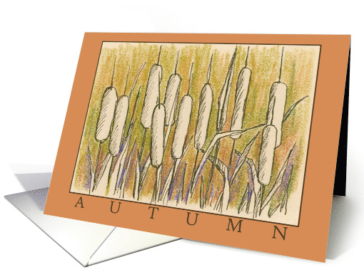 Autumn Cattails Botanical Drawing Blank card (711929)