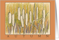 Autumn Cattails Botanical Drawing Blank card