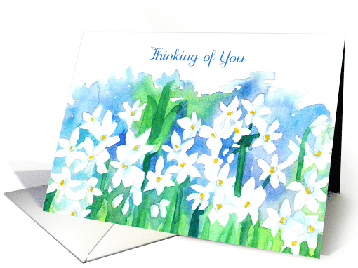 Thinking of You Narcissus Paperwhite Flowers card (72437)