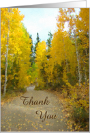 Autumn Leaves Aspen Trees Thank You card