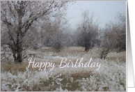 Winter Trees White Frost Birthday Card Nature Landscape card