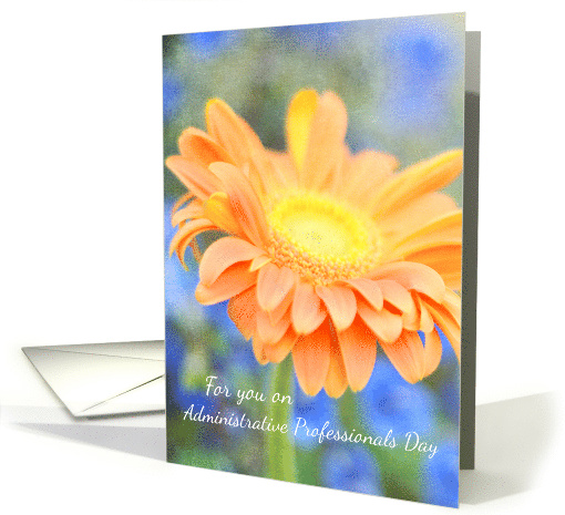 Adminstrative Professionals Day Orange Gerbera Daisy Photography card