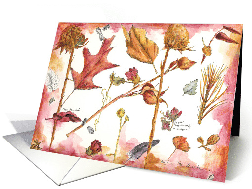 Happy Birthday Autumn Leaves Feathers Seeds card (826455)