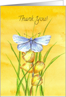 Thank You Blue Butterfly Grass Plants Blank card