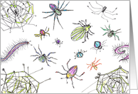 Spiders Beetles Bugs Insects Blank card