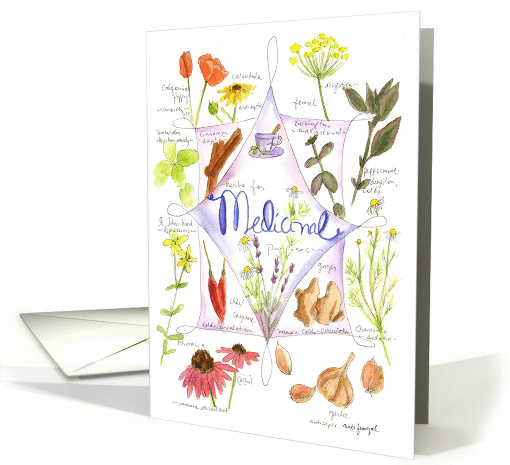 Medicinal Herb Health Garlic Peppermint Watercolor Illustrations card