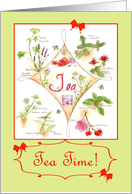 Herb Garden Tea Party Invitation card