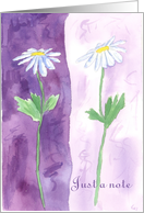 Purple Watercolor Daisy Just A Note Blank card