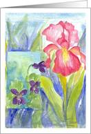 Pink Iris Purple Violets Blank Note Card